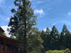 -山王坪喀斯特国家生态公园