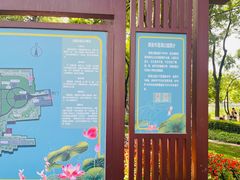 -莲湖公园