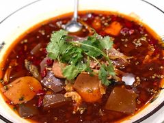 特色毛血旺-蝶园·装修中(BFC外滩金融中心店)