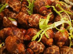 -石家庄万象天成假日酒店