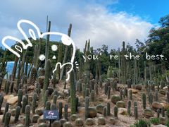 -深圳仙湖植物园