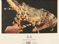 花龙-顺峰(农展馆店)