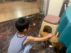 -鱼乐岛餐厅·户外花园主题餐厅
