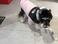 -FAELING PETS美天灵宠物(富力广场店)