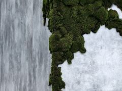 -阿嬷手作(成都万象城店)