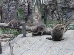 -上海野生动物园