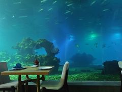 -海棠湾洲际-涛·海底餐厅·美人鱼·自助餐·海底隧道