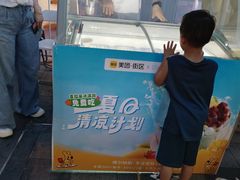 -维尔纳斯·生日蛋糕动物奶油冰淇淋蛋糕(人大店)