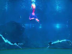 -福州罗源湾海洋世界旅游区