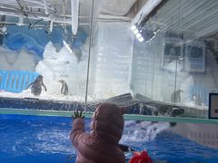 -郑州银基冰雪世界