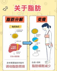 -Fundi张玉珊修身堂·indiba·BTL科技瘦身