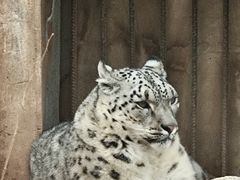 -青藏高原野生动物园