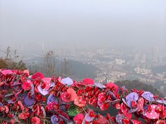 -岳麓山风景名胜区