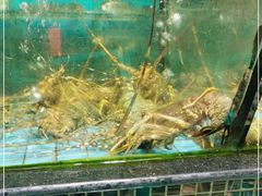 水产区-海大大蒸汽海鲜餐厅·粤菜·特色小炒(欢乐颂店)