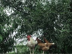 -三里河公园