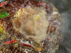 -重庆故事姊妹老火锅(财经学院店)