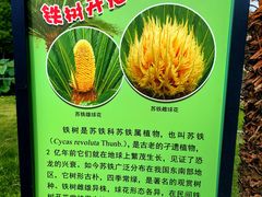 -国家植物园南园