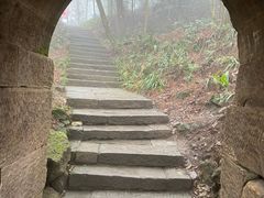 -缙云山景区