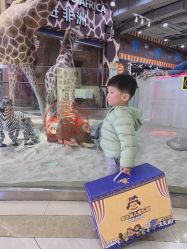 -鲁比猴非洲探索部落(喜盈门店)