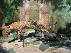 -重庆中国三峡博物馆(重庆博物馆)