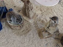 -海合安武汉极地海洋公园