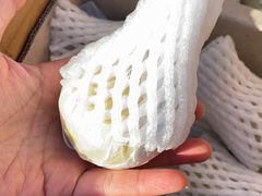 -红星农博物流中心