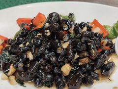 -清水湖度假村(罗浮山美食地标店)