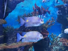 -多彩贵州城极地海洋世界