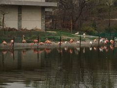 iphone_upload_pic-西安秦岭野生动物园