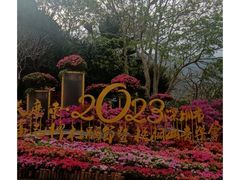 -梧桐山风景名胜区