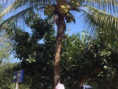 -白沙门生态公园