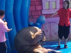 -华夏文旅海洋公园