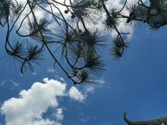 -丽江泸沽湖景区