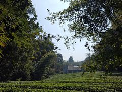 -敬亭山风景名胜区