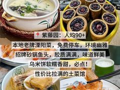 -紫藤园·天目湖大鱼头(南山竹海店)
