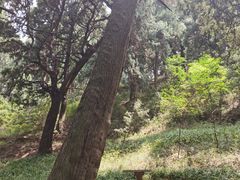 -七曲山风景区