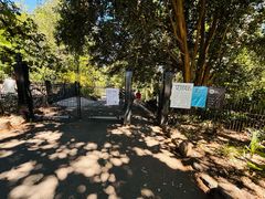 -墨尔本皇家植物园