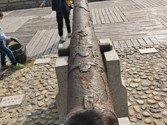 -胡里山炮台
