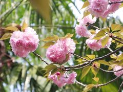 -东坡赤壁风景名胜区