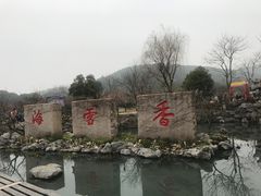 -香雪海
