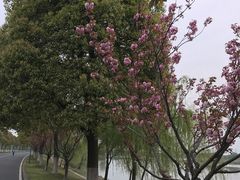 -漕湖湿地公园