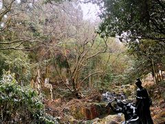 -莫干山风景区