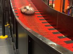 -Tenker Club弹刻极限主题公园 · 蹦床 · 团建 · 生日派对(大关店)