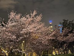 -SWAG·日咖夜酒·城市露营