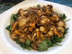 温拌全贝-燕春楼(海河华鼎店)