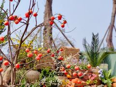 -中国天府农业博览园