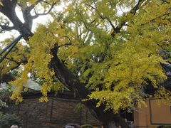 -无锡惠山寺