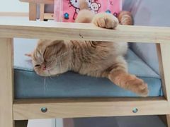 -爱乐蒙艺术·古筝 钢琴 声乐(科华校区)