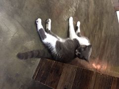 Mikaku(Mikaku万达店)-MIKAKU(万达广场上海宝山店)