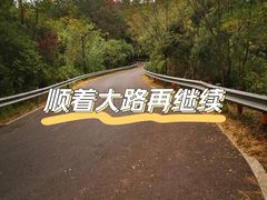 -青龙山国家森林公园